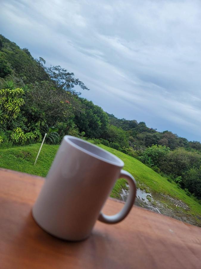 Cabinas Selva Verde Monteverde Exteriör bild