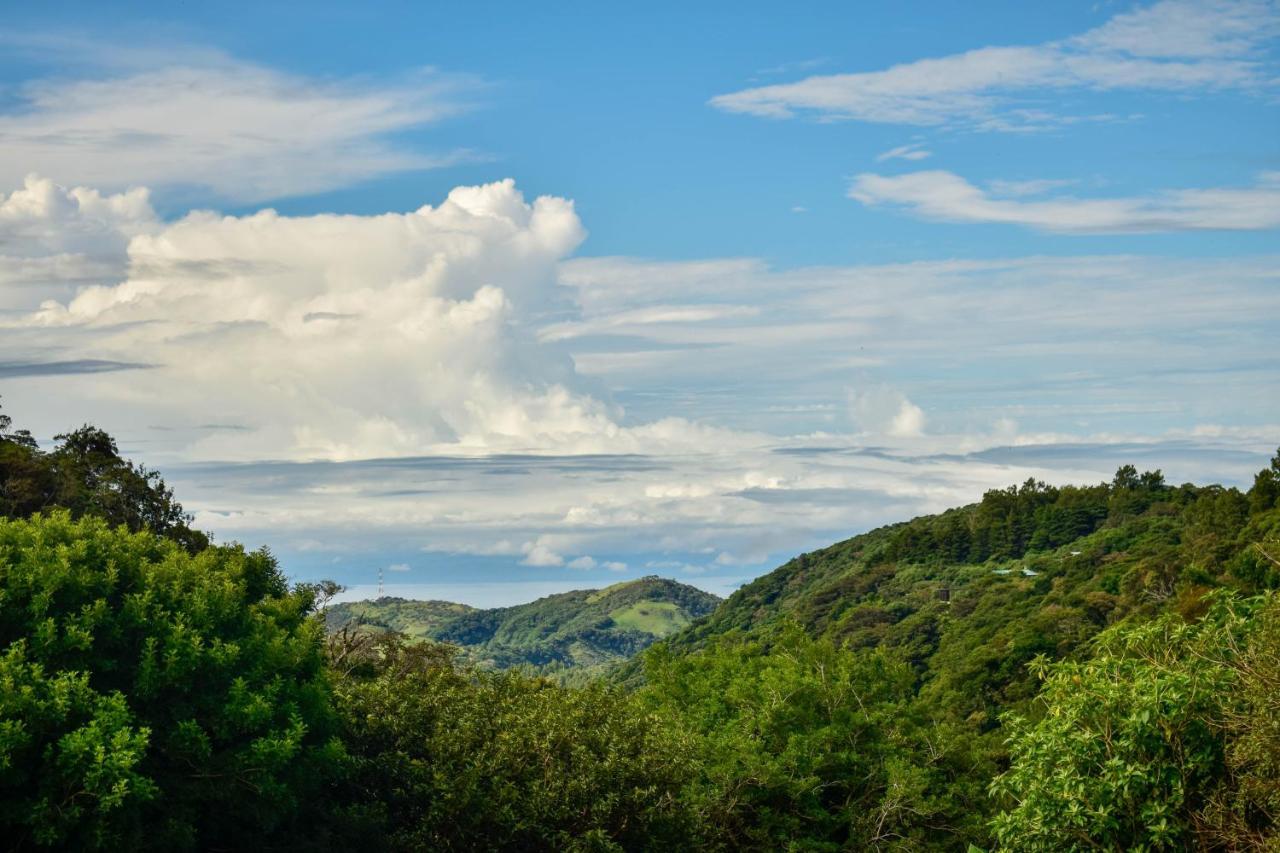 Cabinas Selva Verde Monteverde Exteriör bild